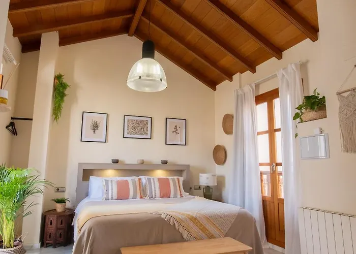Apartamentos Vita Center